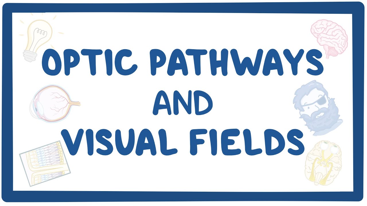 Optic Pathways