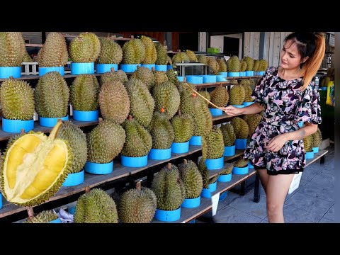 Premium Grade ! Durian Buffet  - Fast Speed Durian Cutting Master | Thai Street Food