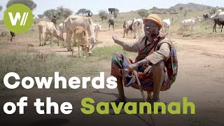 Uganda's Desert Shepherds: Can the Karamojong Survive the Future? | Guardians of the Earth (3/5)