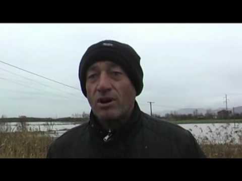 Reshjet e shiut - Lumi Ishëm shkakton përmbytje në Fushë Krujë, nën ujë dhe disa lagje të Durrësit