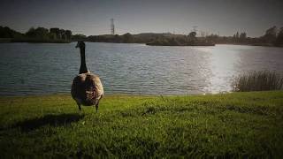 This Beautiful Life By Colony House Custom Music Video