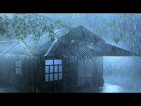 The Dance of Thunder and Terrible Rain on The Corrugated Iron Roof Helps You Fall Asleep Immediately