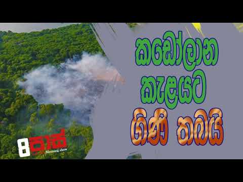 NETH FM 8 Pass Jokes 2020.02.26 - කඩෝලාන කැළයට ගිණි තබයි