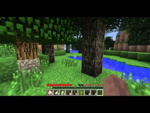 Let's Play TerraFirmaCraft ~ Ep. 1 ~ Whole New Game