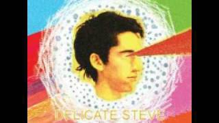 Delicate Steve - Flyin' High