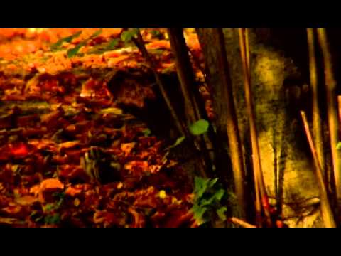 14/10/2010 Jeugdbond voor Natuur en Milieu - Ketnet - Karrewiet