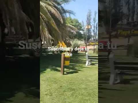 predio club atlético adelia María cordoba