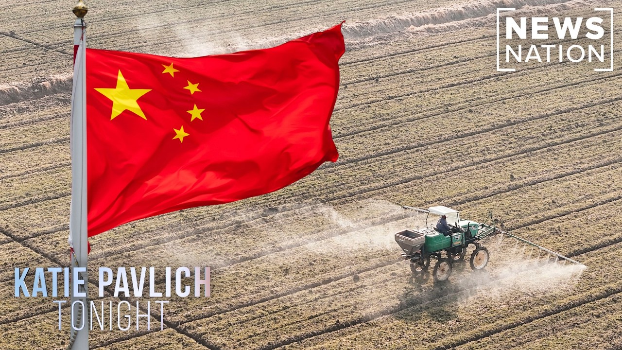 Chinese nationals operating illegal cannabis farms in California town, City Journal reports