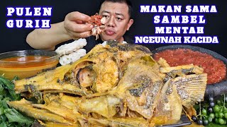 Download lagu PULEN GURIH⁉️ MAKAN 3 KILO KEPALA IKAN MARLIN KUAH ASEM PEDAS LALAPAN LEUNCA SAMBEL TERASI MENTAH  mp3