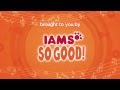 Concert for Dogs: The IAMS SO GOOD! Doggie Jam ...