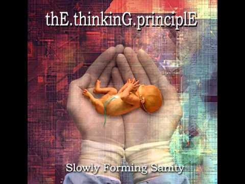 THE THINKING PRINCIPLE - 'RECORDING INTO MEMORY' -(old school Technical Metal) with added Keyboards