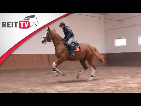 Knackig in die neue Saison - Wintertraining eines Springpferdes Teil 1 | Rebecca Golasch