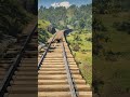 Tiger Attacks Tied Man on Railway Track | Venomous Snake Saves the Day!   #shorts #shortsfeed