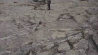 Calogero - La fin de la fin du monde (clip officiel)