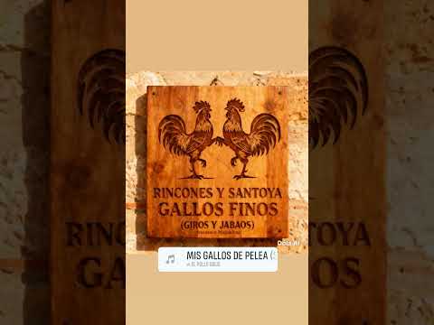 Gallos Finos Luis Alberto Rincones y Jorge Santoya.Cel 3127757371 Aracataca Magdalena.#gallosfinos