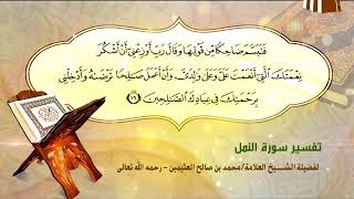 تفسير سورة النمل الآية (19) لفضيلة الشيخ العلامة محمد ابن عثيمين رحمه الله تعالى image