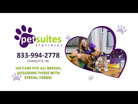 Petsuites Wendover
