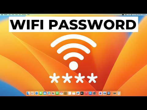 How to Copy and Paste on MacBook