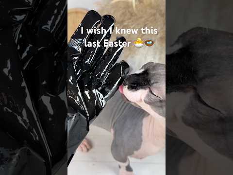 Easter Trends 2026. Easiest way to dye beautiful Easter eggs! #easter #cat #diy #eggs