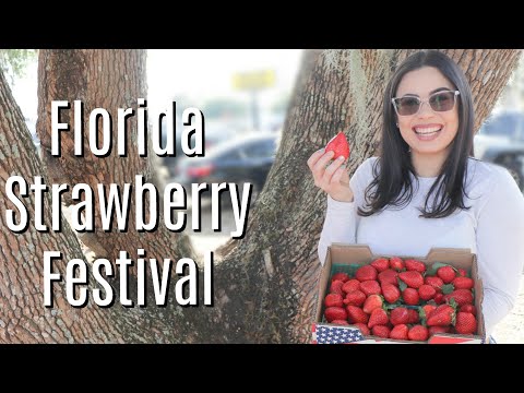 Florida Strawberry Festival 2020 | itsme.dianne