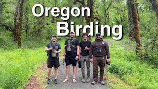 Finding New Species While Birding In Oregon