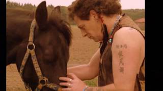 Wilde Pferde-Wilde Wölfe