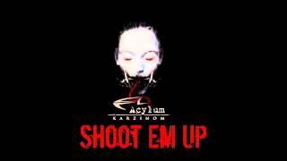 Acylum - Shoot Em Up