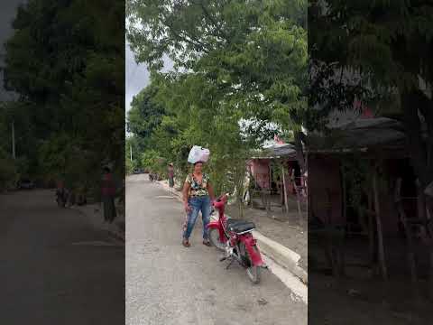 🔴 RINCÓN DEL PINO / SAN JOSÉ DE OCOA | RECORRIDOS DE PLACIDO TE INFORMA