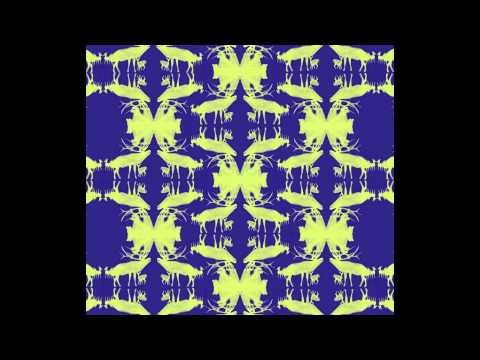 Astrid Swan - Black Bear & Hoofer