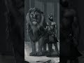 Vaar Sidhu Moose Wala Warrior Hari Singh Nalwa Sidhumoosewala Warrior Harisinghnalwa