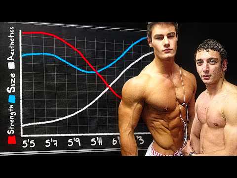 How Height Impacts your Physique (With Examples)