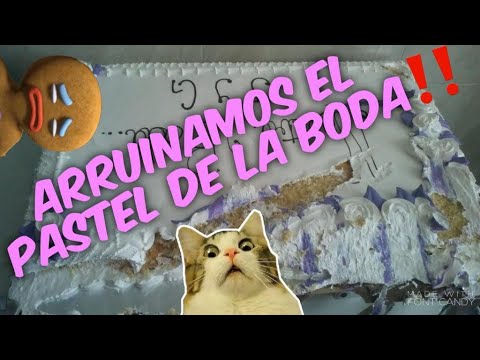 Arruinaron el pastel de bodas!!!!       Auxilio Champlitte!!