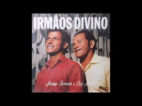 A Metade Do Couro - Irmãos Divino