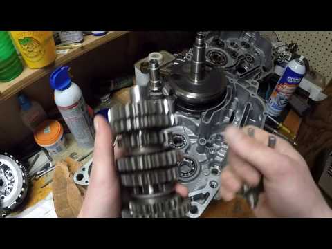Yamaha raptor 350 and Yamaha warrior 350 engine rebuild part 1