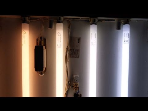 Osram Lumilux LED T8 Tube Light