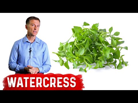 The Top 3 Best Gallbladder Herbs