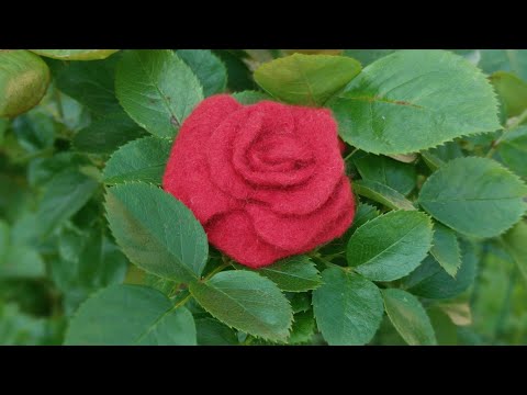 Easy wet felting tutorial - Wool rose - Felted flower for beginners