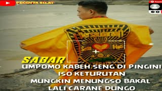 Download lagu Story wa kata bijak psht mp3 Download lagu Story wa kata bijak psht mp3