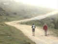 Richtiges Verhalten Bei Nebel