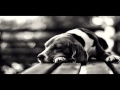 Доса - История про одного пса 