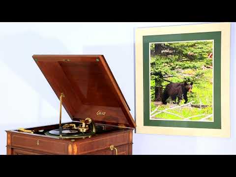 "You'll Never Get To Heaven With Those Eyes" Atlantic Dance Orch. on Edison Diamond Disc #51362 R