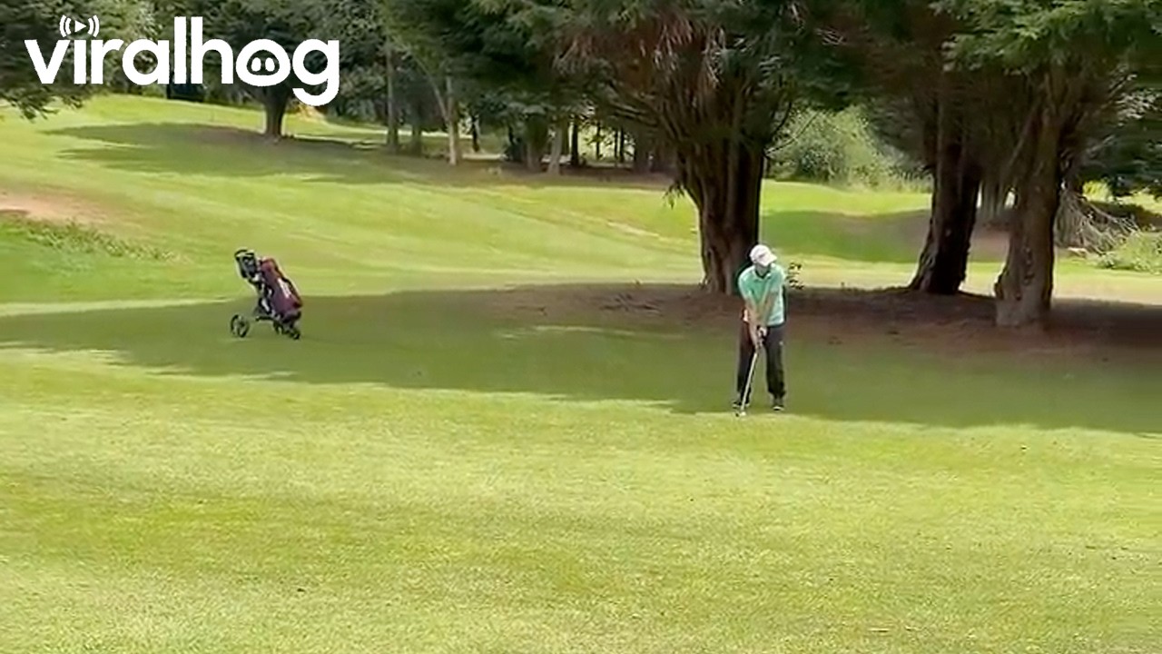 Runaway Golf Trolley || ViralHog