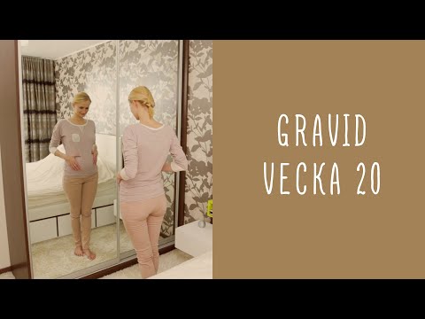 Gravid vecka 20