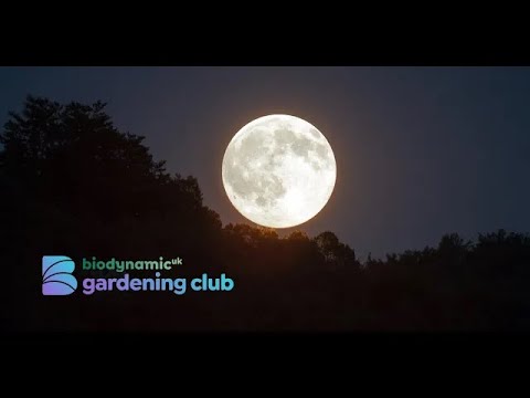 Planting by the Moon Know - How and Tips for JULY 2023