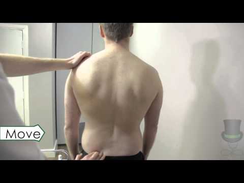 The Rheumatological Examination of the Back