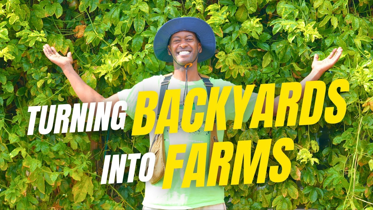 Building Community Resilience Through Food: Jamiah Hargins | Drawdown’s Neighborhood: LA