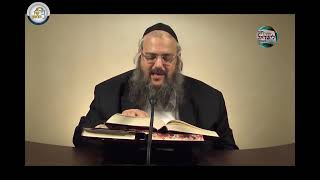 חוק לישראל - פרשת לך לך - יום שלישי | הרב שלמה לוינשטיין (ארגון קול הלשון) - התמונה מוצגת ישירות מתוך אתר האינטרנט יוטיוב. זכויות היוצרים בתמונה שייכות ליוצרה. קישור קרדיט למקור התוכן נמצא בתוך דף הסרטון חוק לישראל - פרשת לך לך - יום שלישי | הרב שלמה לוינשטיין (ארגון קול הלשון) - התמונה מוצגת ישירות מתוך אתר האינטרנט יוטיוב. זכויות היוצרים בתמונה שייכות ליוצרה. קישור קרדיט למקור התוכן נמצא בתוך דף הסרטון