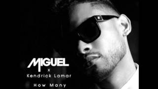 Miguel - How Many Drinks (Remix) (Ft. Kendrick Lamar) | Download