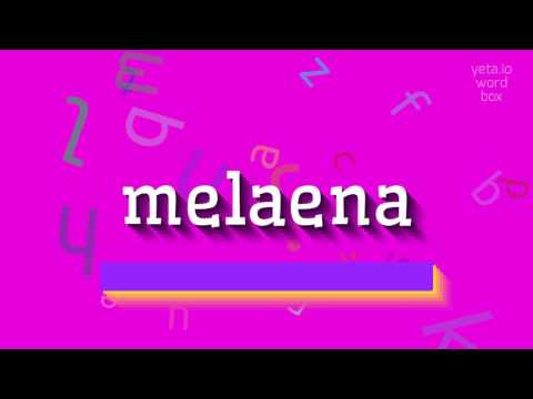 MELAENA - How to pronounce Melaena?