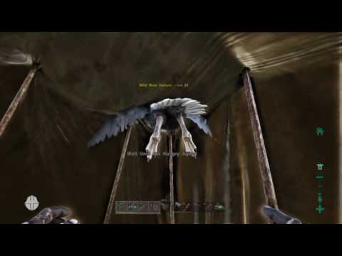 Ark: Scorched Earth - How to get a Vulture